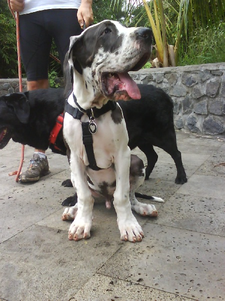 Egon Du Domaine De Thorgal
