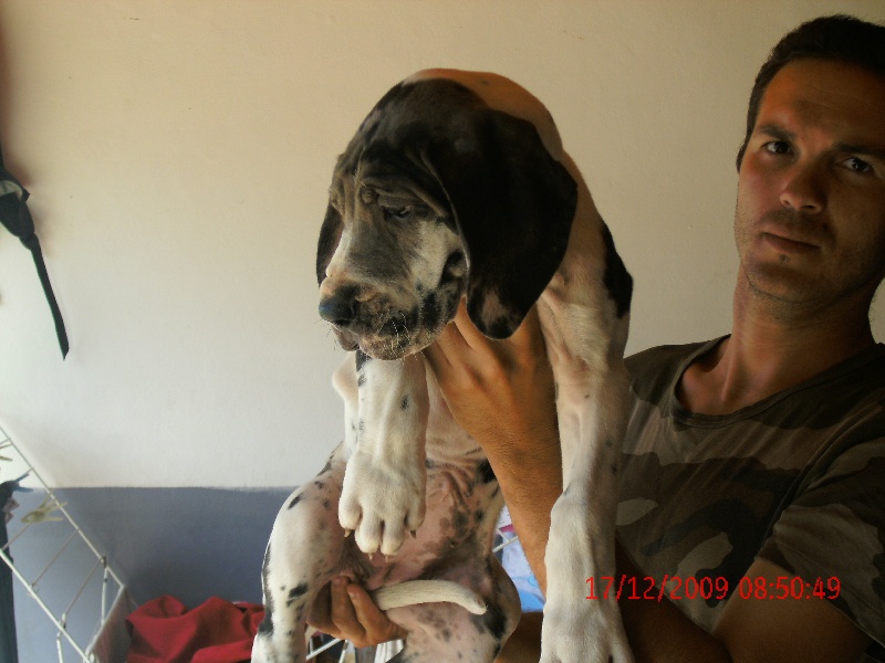 Ephy Du Domaine De Thorgal