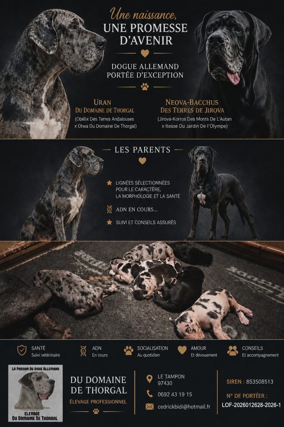 Chiots de Uran Du Domaine De Thorgal / Noeva Bacchus Des Terres De Jirova